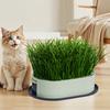 Pet Cat Grass Planter Box With Drain Holes Multifunctional Hydroponic Planting Tray Greenhouse Wheatgrass Growing Pot