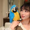 Simulation Animal Parrot Plush Toy Stuffed Soft Animal Pillow Fun Toys Home Decro Birthday Gifts