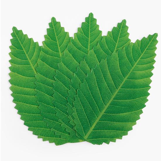 200Pcs/Bag Artificial Green Leaf Reusable Colorfast Vibrant Color Simulation Sushi Decoration Leaf Kitchen Accessories