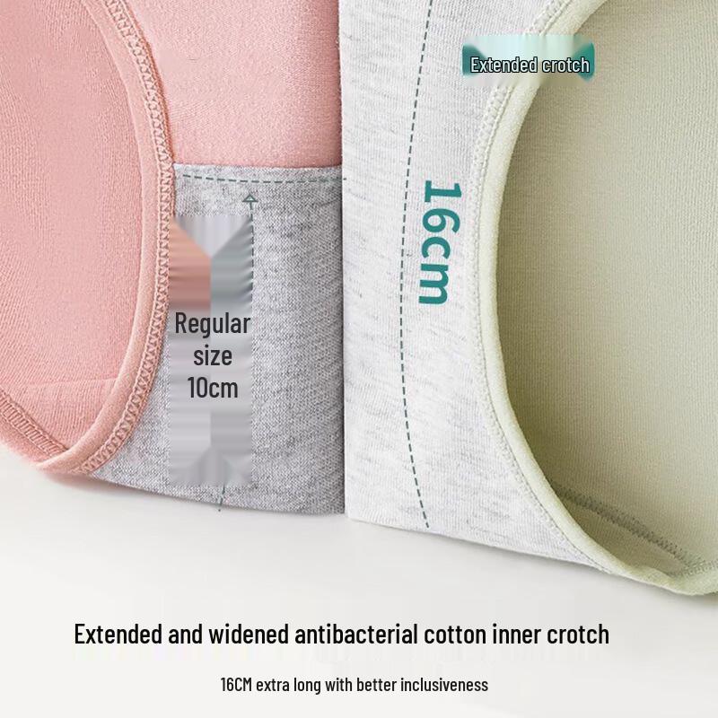 CottonComfort Women's Xinjiang Cotton Antibacterial Briefs 4-Pack