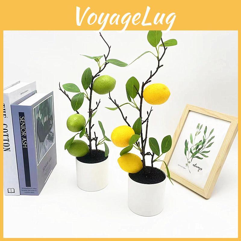 Plant Green Lemon Decor With Faux Fruits For Home Styling And Props Photography