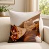 Singer Ssombr Cushion Cover Soft Short Plush SkinFriendly Cushion Case for MultiScene Use