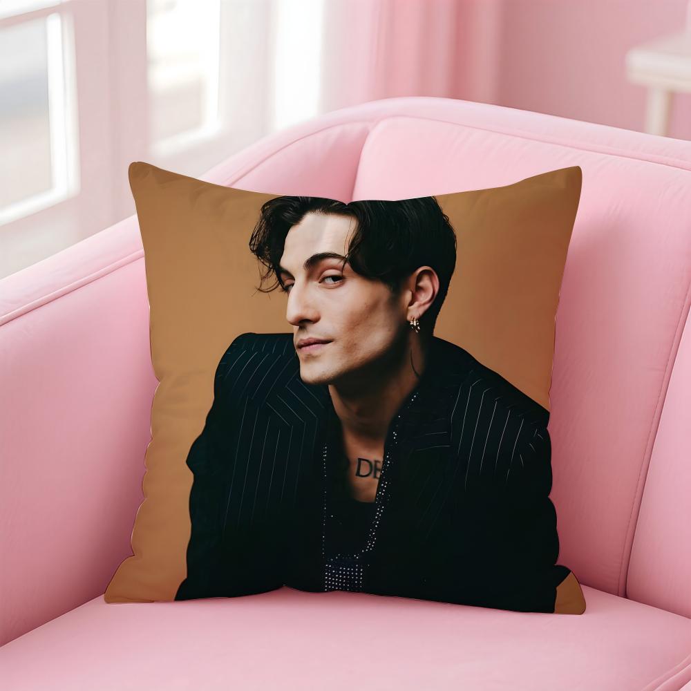 Singer D-Damiano D-David Cushion Cover Comfortable Reversible Pillow Cover Ideal for Car Sofa Bedroom & Beyond