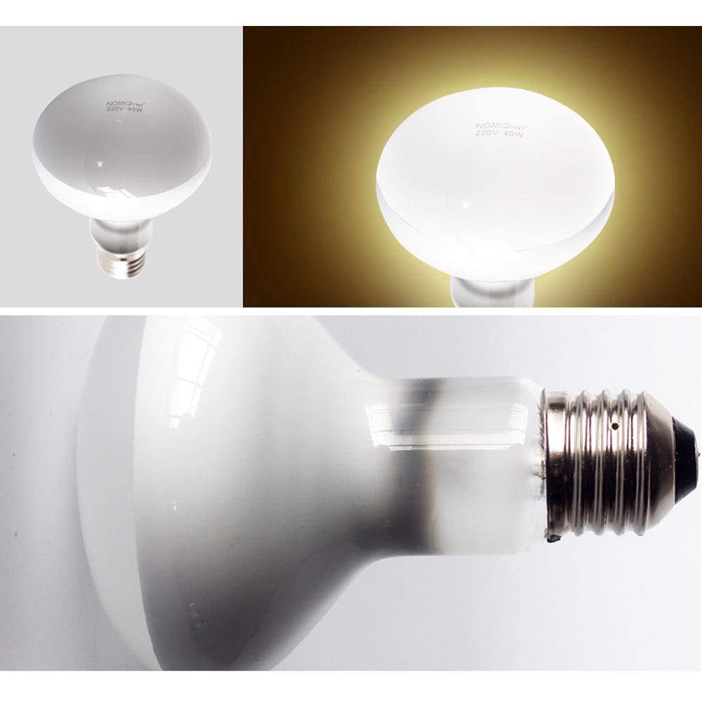 60 watt basking bulb