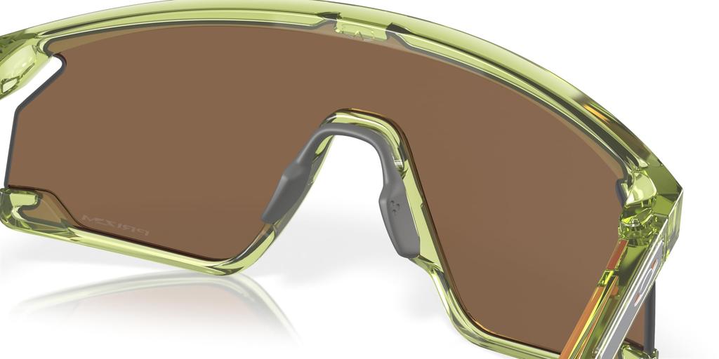 Sunglasses OO9280 BXTR TRANS FERN 39 [Oakley]