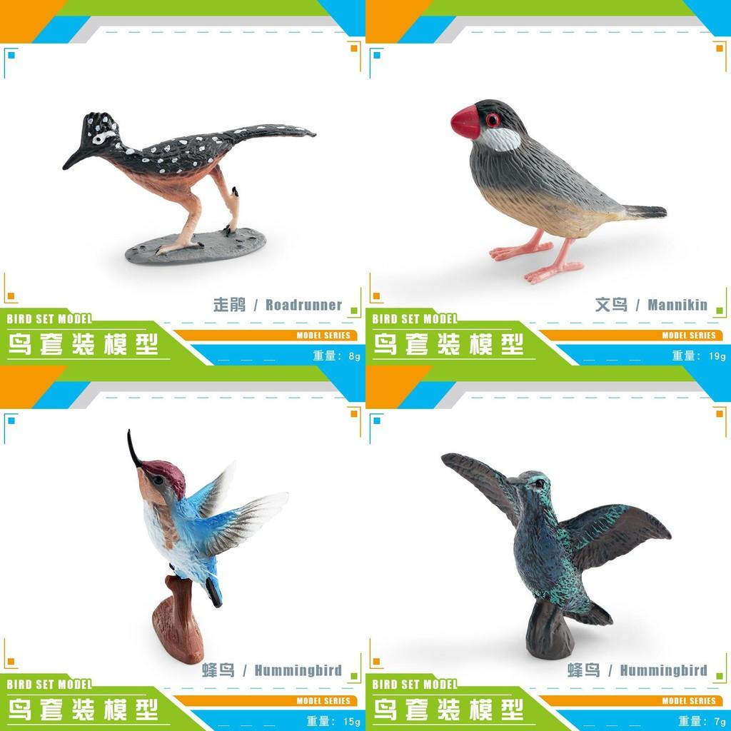 Realistic Plastic Hummingbird Model Perfect For Home Decor And Collectors Ideal For Bird Lovers