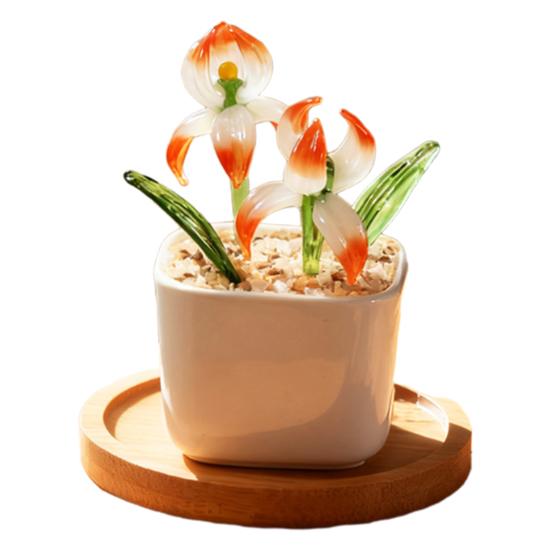 Glazed Potted Plants Mini for Desk Succulents Decor Tabletop H