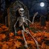Adjustable Skeleton Figurine 3ft Life Size Halloween Skeleton, Full Body Posable Plastic Prop, Realistic Life-like Decoration Human Bones Model