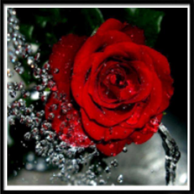 Pittura diamante 5D Fai da te Paesaggio Fiore Colore Rosa Ricamo diamante Ricamo diamante