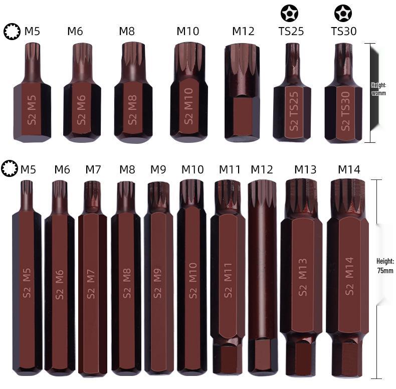 60-Piece Twelve-Point Star and Hex Key Bit Set for Auto Repair & Maintenance