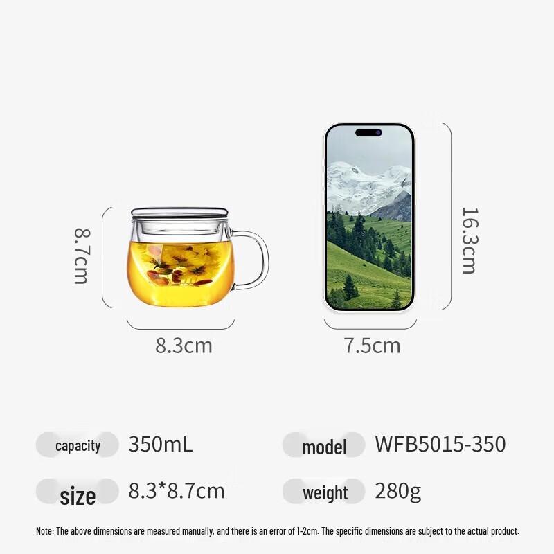 Fuguang Borosilicate Glass Tea Infuser Bottle 350ml