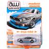 Auto World Scale PREMIUM RELEASE 3 2017 FORD MUSTANG GT TRIBUTE EDITION - 1/64 (INGOT SILVER) AW64452A-03 [Item]