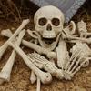 28 Pack Skeleton Bone and Skull Halloween Skeleton Bone Figurine for Halloween Spooky Graveyard Ground Decoration