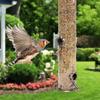 Waterproof Bird Feeder Automatic Bird Feeding Bowl Feeding Container Bird Food Dispenser  Outdoor