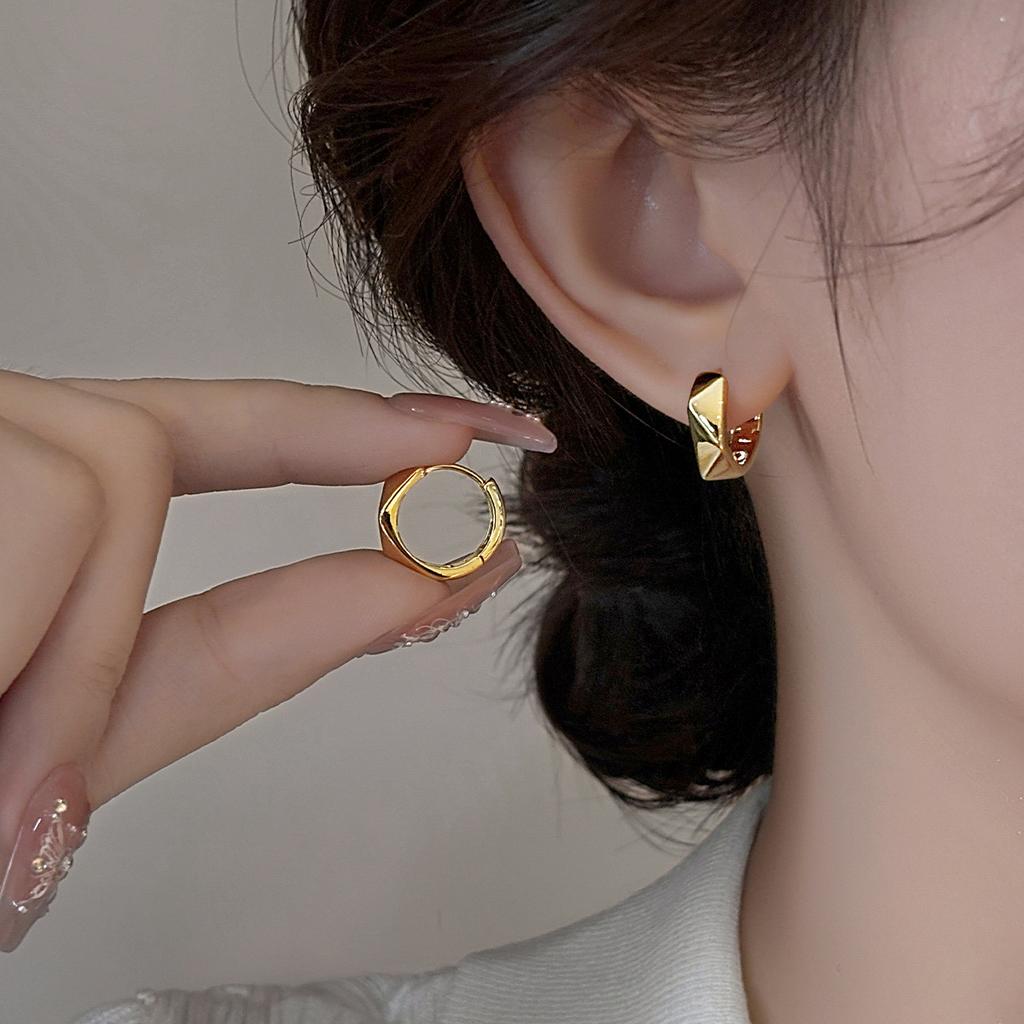 Geometric Irregular Section Round Ear Buckle Temperament Fashionable High-end Earrings Simple Light Luxury Cold Wind Earrings