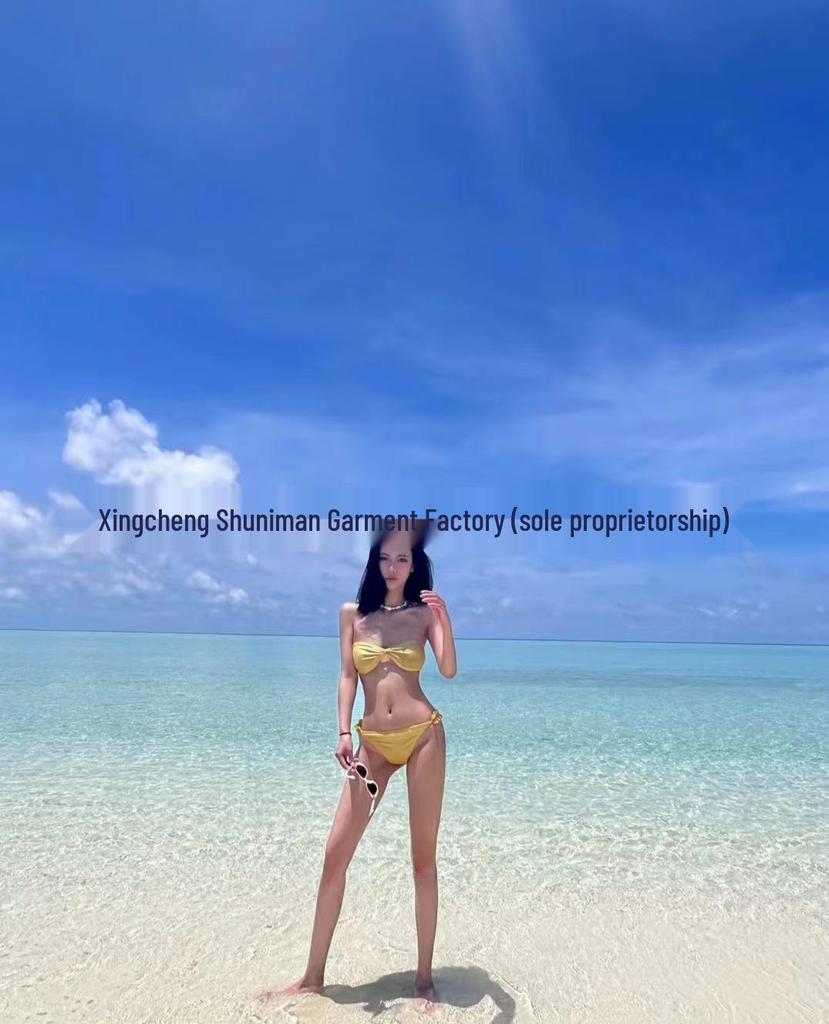 Women's Two-Piece Korean Style Sexy Bikini