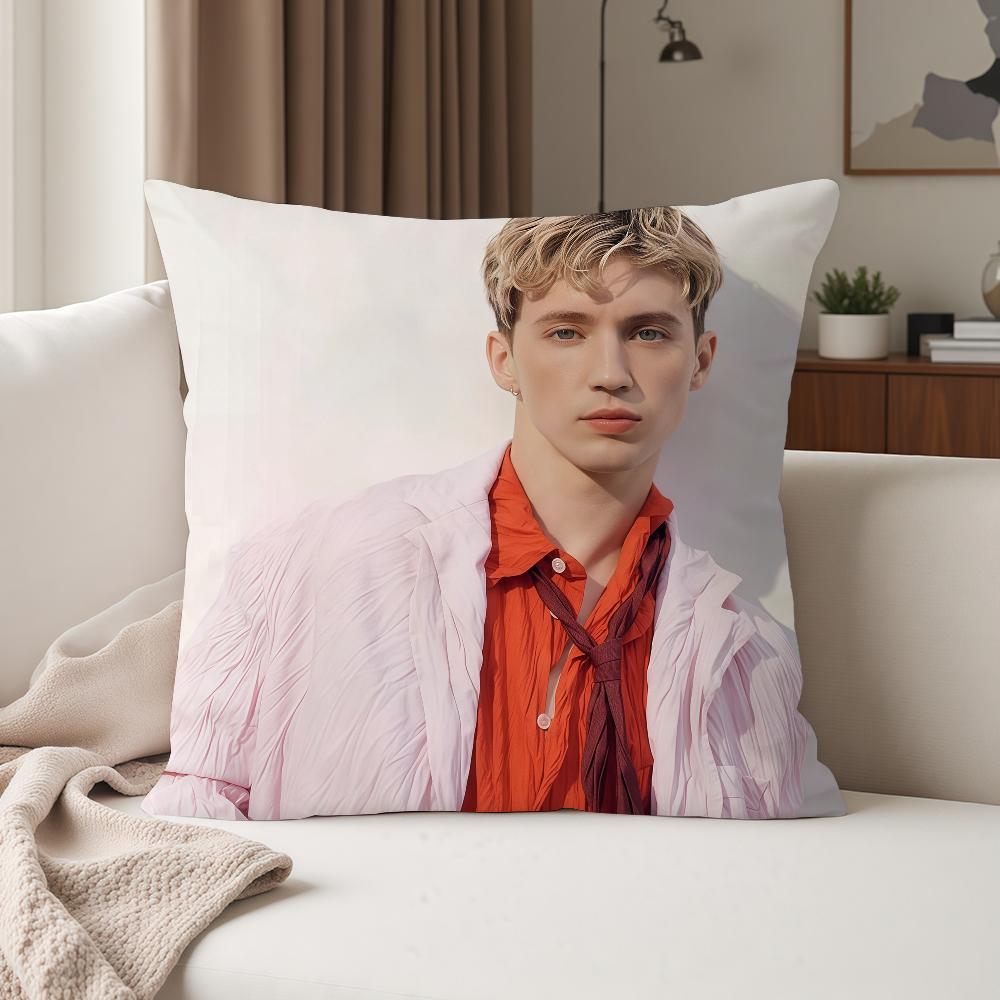 Singer Troye Sivan Blue Neighbourhood Pillow Case Suitable For Bedrooms Living Rooms Cars Home Decoration