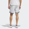 Adidas Golf Adicross Delivery Printed Shorts In9262