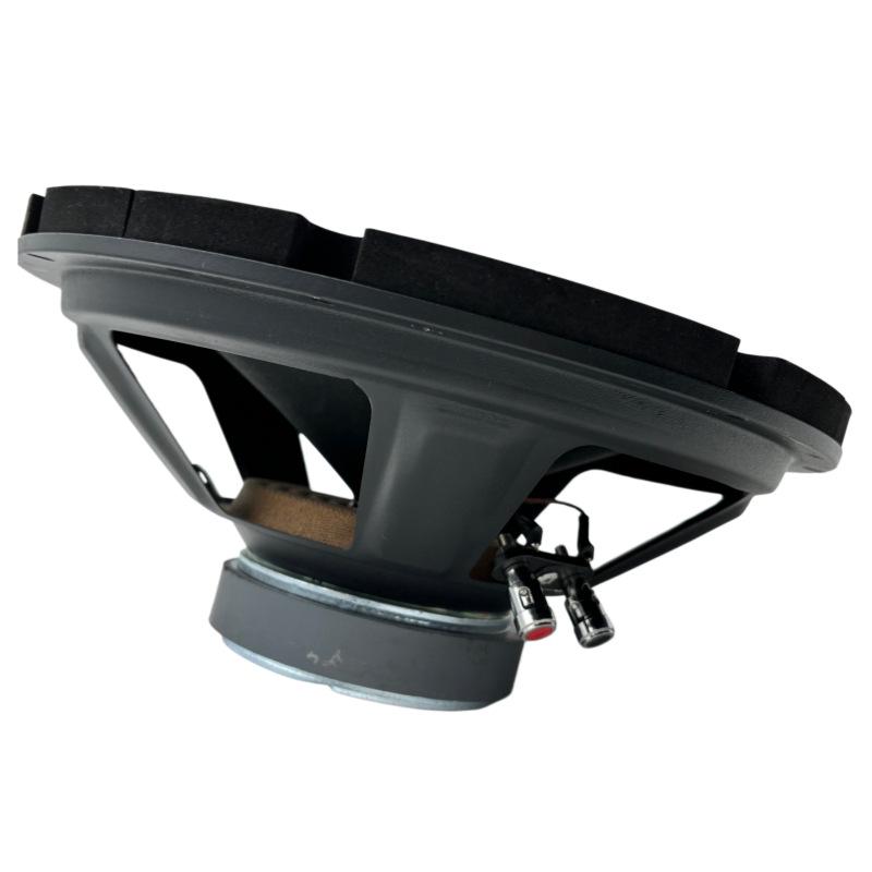 10" Krachtige Audiophile Auto Subwoofer Luidspreker