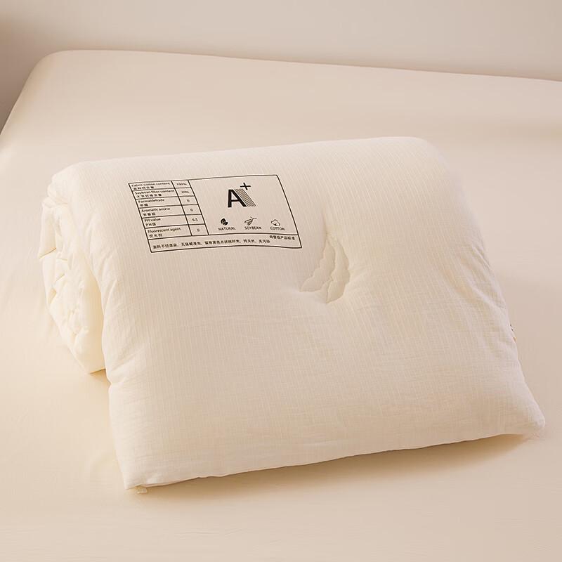 

Grace Jieliya All-Season Washed Cotton Blend Soybean Fiber Quilt