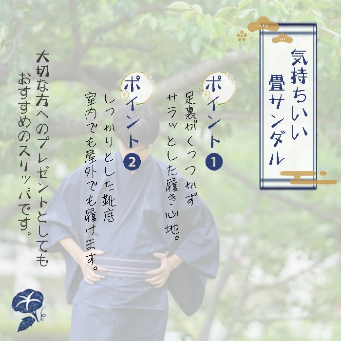 Taimei Shokai Tatami Sandals with Japanese Pattern Men's Japanese-made (132/Navy, M)