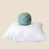 Silk Cotton Filled Cushion Insert 45x45 Cm - Sofa Pillow Core for Living Room