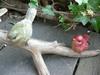 Forest Friends Bird Set 4 Small Birds Ornament Garden Object Story B Gardening Decoration Interior Real Display Goods