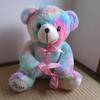 [USED] Teddy Bear