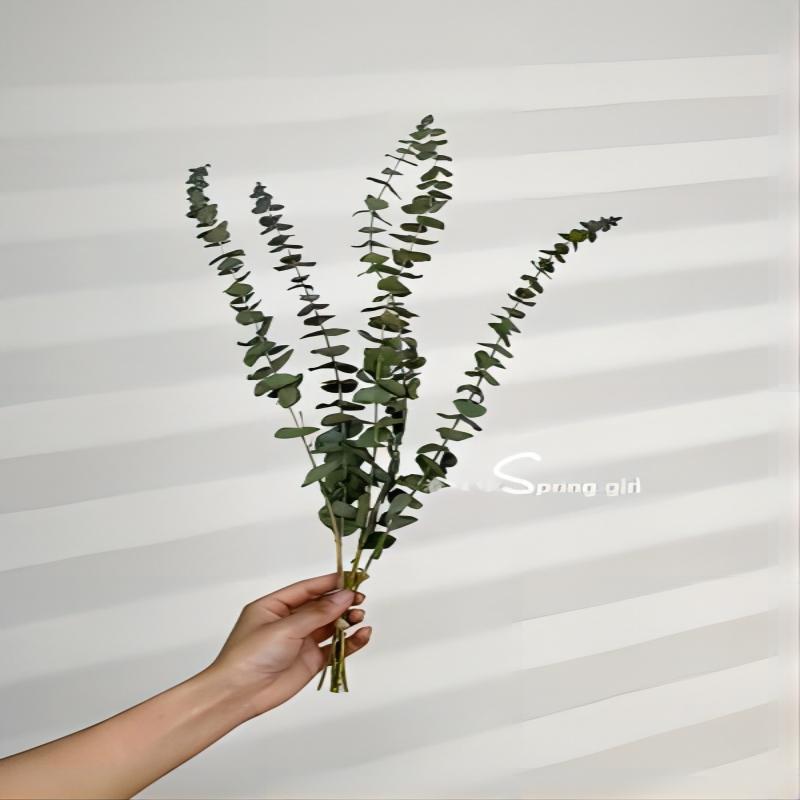 High-End Wabi-Sabi Dried Flower Decor: Natural Reeds & Wheat for Living Room or Homestay.