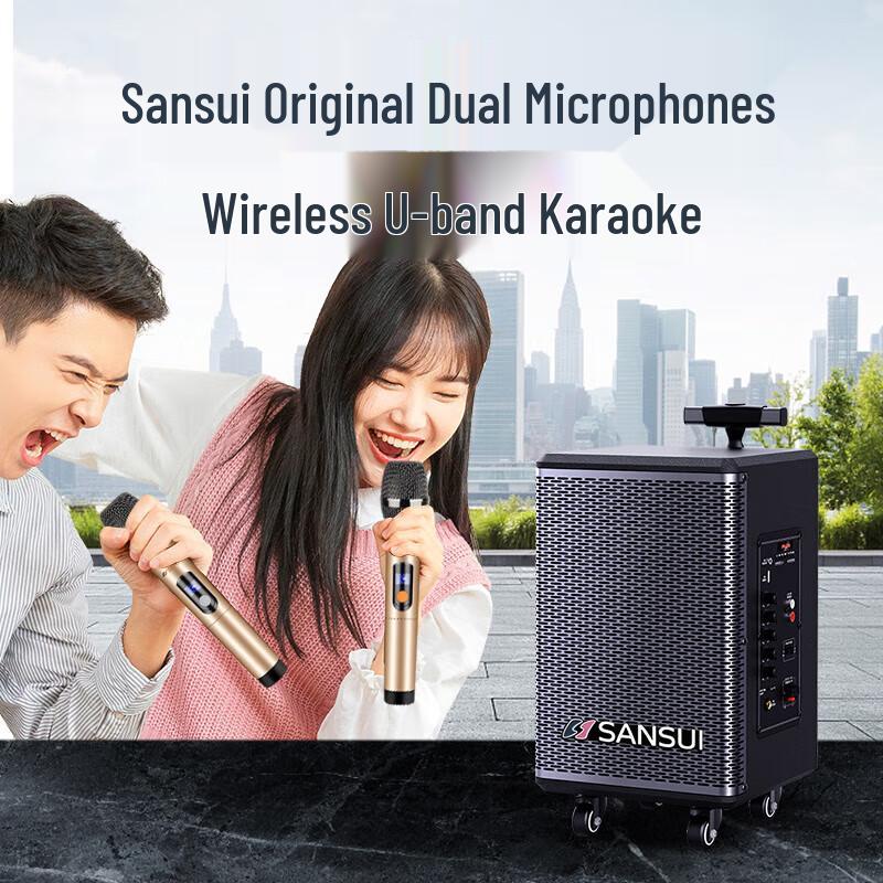 Sansui TE06 8-inch Portable Trolley Karaoke Speaker with Wireless Mic