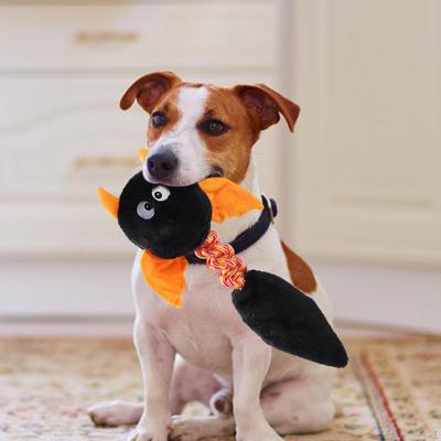 Crinkle And Squeaky Plush Dog Toy, Interactive Bite Resistant Noise Maker for All