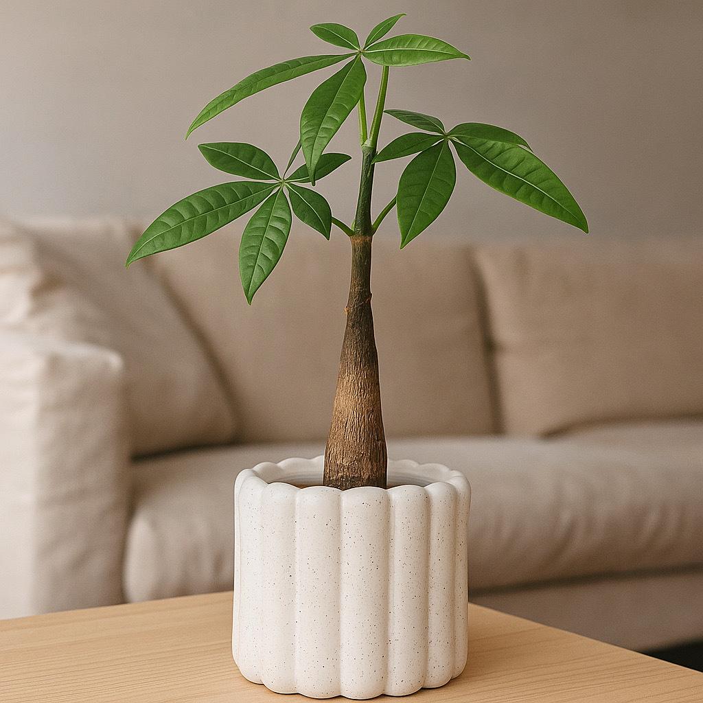 Nordic Ceramic Orchid Vase - Light Luxury Style for Small Plants