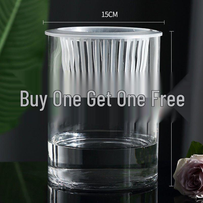 Hydroponic Glass Cylinder Vase for Pothos & Peace Lily - Transparent Water Culture Container with Free Shipping.