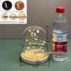 Luminous Sea Urchin Glass Dome with Preserved Flowers and String Lights