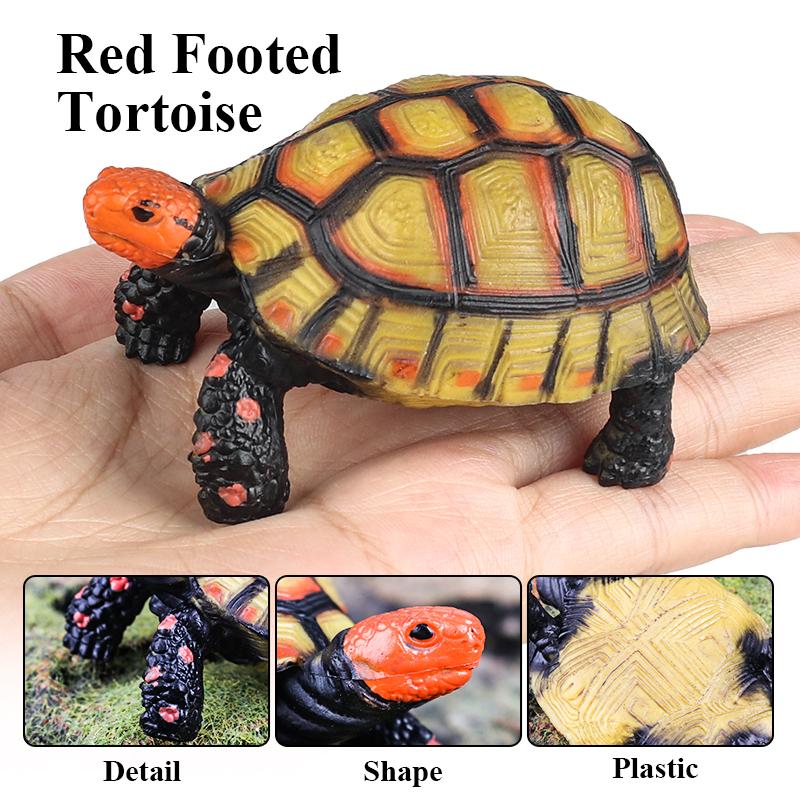 Oenux Reptile Animals Star Turtle Tortoise Geochelone Model Figurines Action Figures PVC Ornament Education Kid Toy Gift