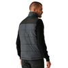 Regatta Mens Altoona Insulated Gilet