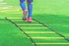 Gymnastic Ladder For Training Exercises, Foldable Sports Ladder 6M