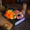 Mode Karneval Party Maskerade Maske Seitenblume Spitze Mardi Gras Maske Elektronisch Elegant LED Halbgesichtsmaske für Damen
