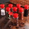 Bottiglia di stoccaggio in barattolo di pepe con dispenser di spezie in plastica da 10 pezzi da 100 ml