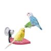 Percha para loro texturizada con hojas multicolor - Soporte antideslizante de resina con ventosa y percha para limar uñas