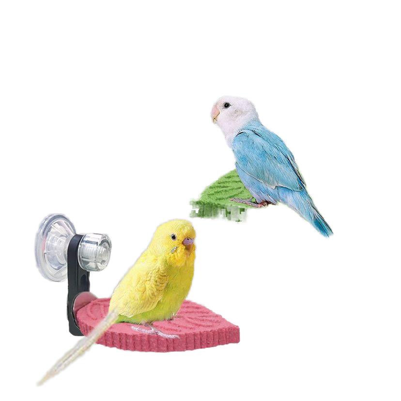 Percha para loro texturizada con hojas multicolor - Soporte antideslizante de resina con ventosa y percha para limar uñas