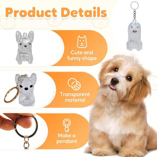 Dog Hair Collector Charm Keychain Transparent Pet Fur Keepsake Capsule Rabbit Memorial Pet Hair Collection Bottle Charm with Keyring Gift for