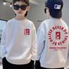 Boys' Spring/Autumn Fleece Sweatshirt - Long Sleeve, Warm Sports Pullover
