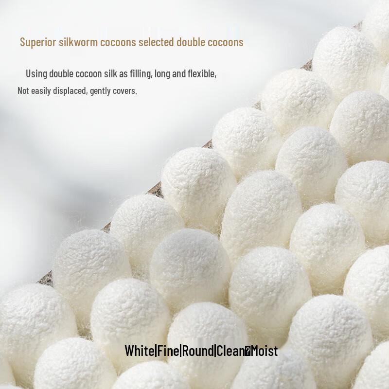 Taihuxue Choyun 100% Mulberry Silk Quilt