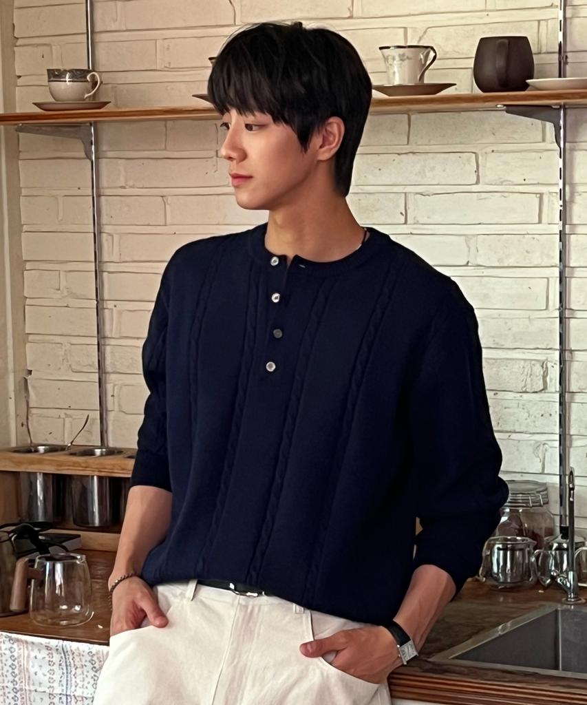 HYOJI Fw Washable Cable Crop Henley Neck Knit (8 Colors)