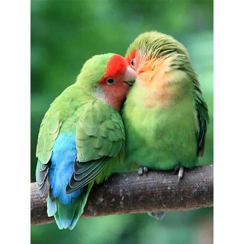 Neue 5D DIY Diamant Malerei Vogel Diamant Stickerei Tiere Kreuz Stich Voll Platz Runde Bohrer Handwerk Wohnkultur Manuelle Geschenk