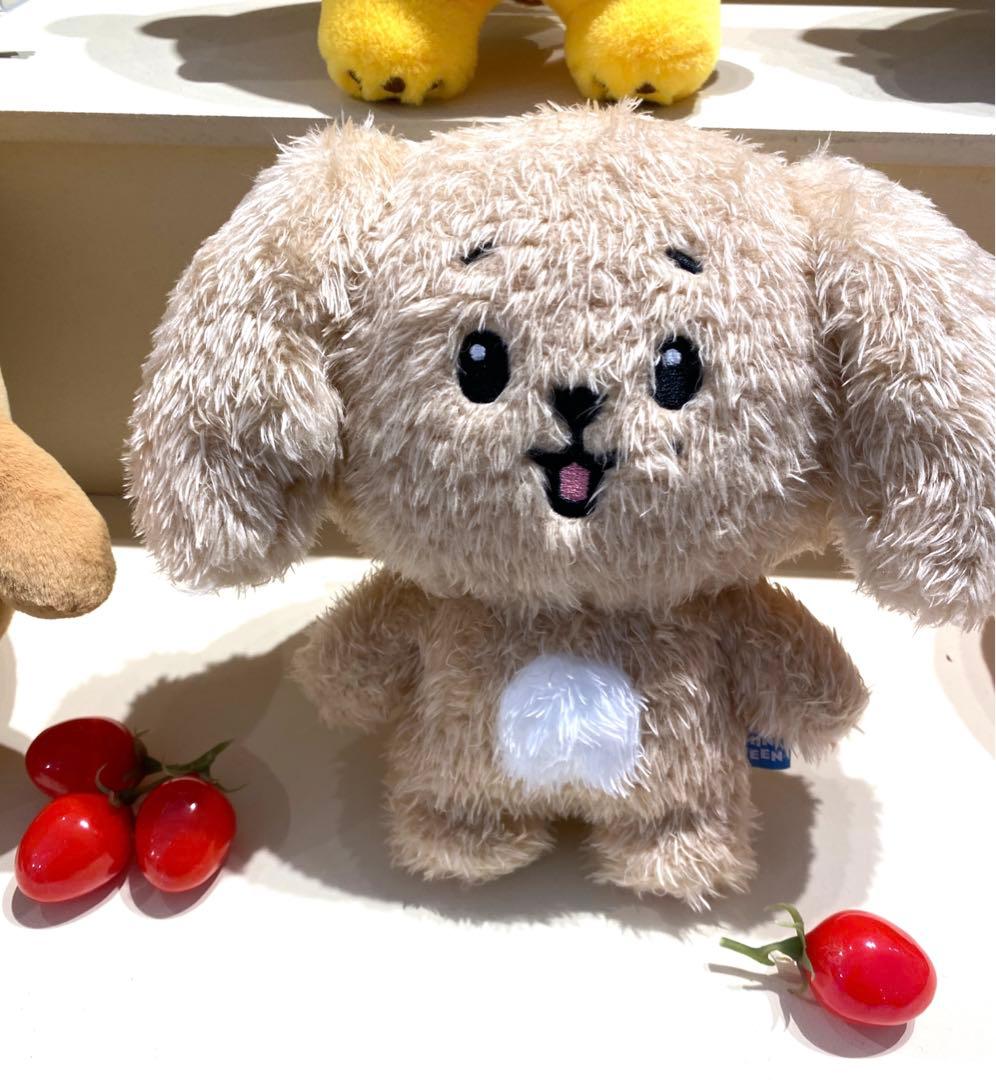 

[USED] SEVENTEEN DK MINITEEN Pop-up Plush Toy