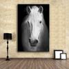 HAOSHUNDA Wall Art Prints Fine Art Prints Wall Painting White Horse Animal Picture For Living Room