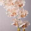 Real Touch Fake Phalaenopsis Flower 9-Heads Silk Phalaenopsis Orchid  Wedding Decoration