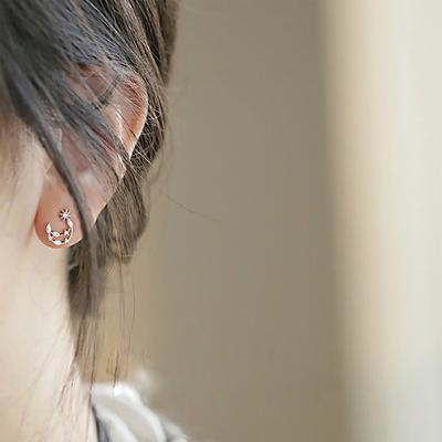 Stars Moon Earrings Sweet Little Fresh Temperament Flash Diamond Zircon Earrings Female Korean Simple Personality Creative Earrings